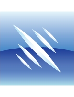 Firm Logo